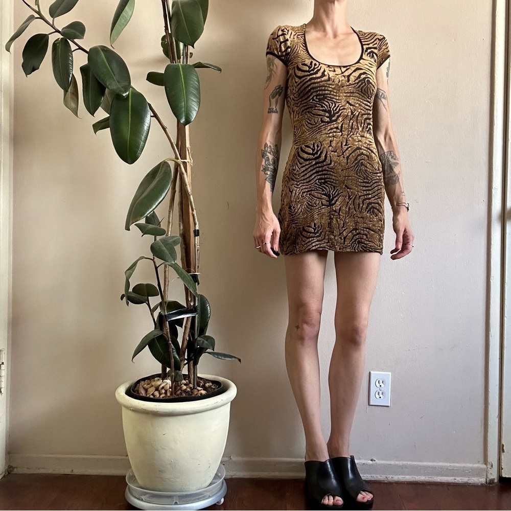 Plein Sud Brown & Black Tiger Print Mini Dress